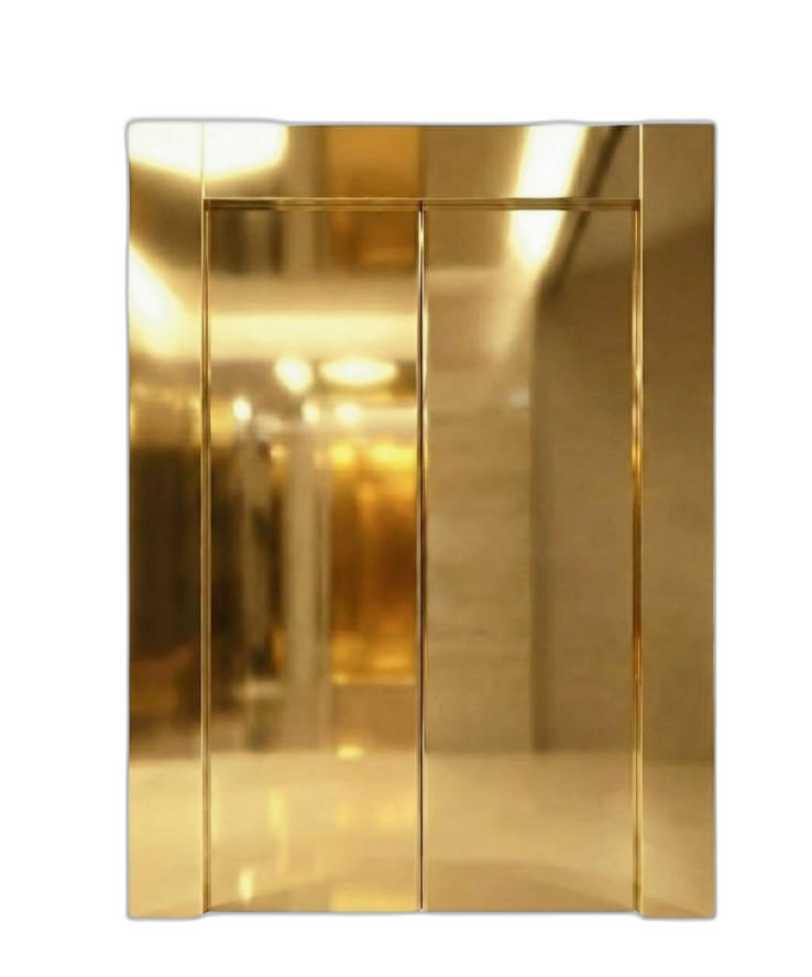 Golden Mirror SS Door